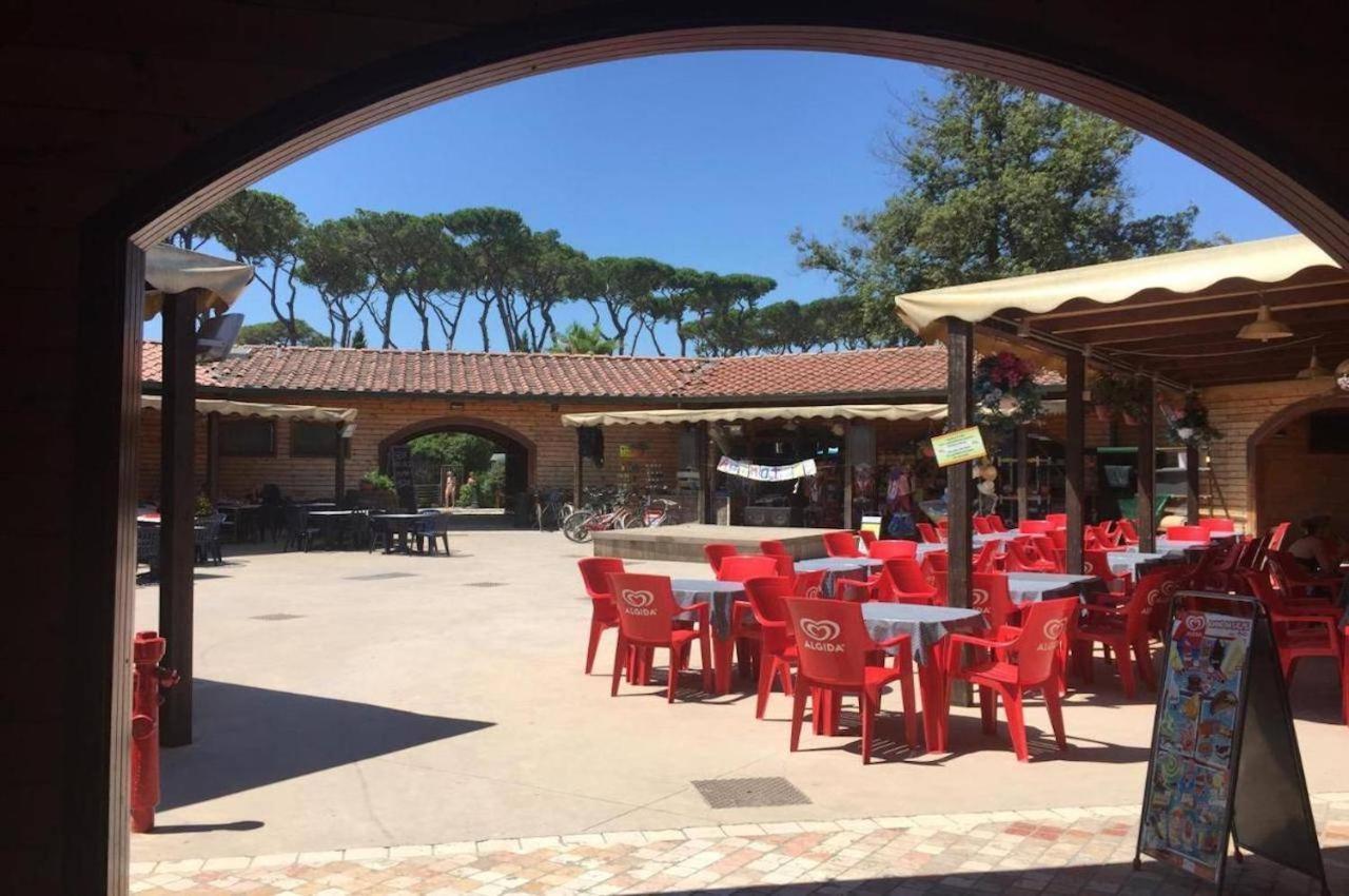 Comfortabele Familie Chalets Met Veranda Incl Airco Dichtbij Zee! فياريجيو المظهر الخارجي الصورة